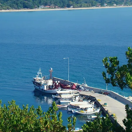 Pavlina Daire Olympiada