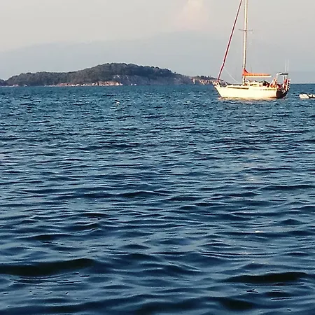 Pavlina Ολυμπιάδα