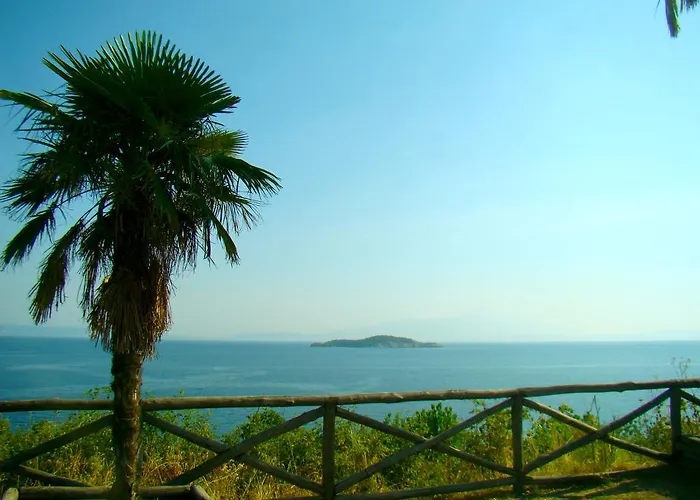 Pavlina * 奥林匹亚达