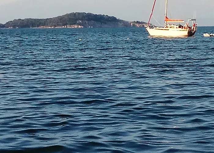 Pavlina 奥林匹亚达