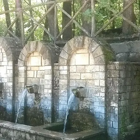 דירה Pavlina